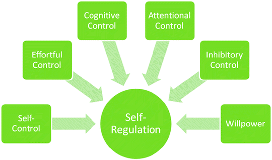 The Impact of Self-Control on Life Outcomes