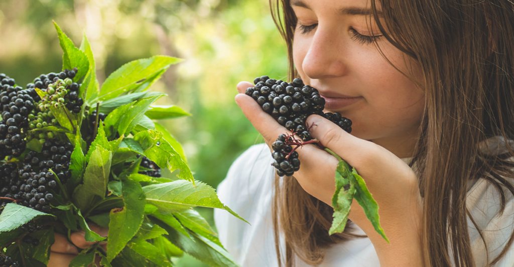 Elderberries