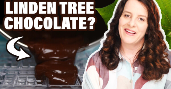 Can You Make Chocolate From Lime Berries?  - Hoekookdat:...