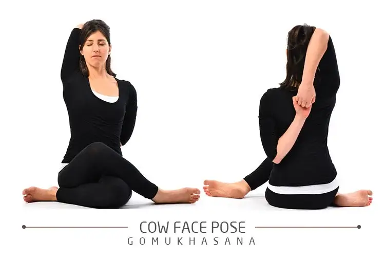 Cow Face Pose (Gomukhasana)